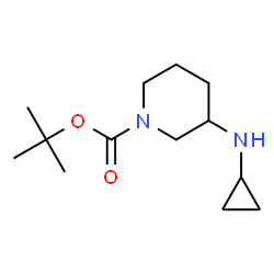 ChemSpider 2D Image | tert-butyl 3-(cyclopropylamino)piperidine-1-carboxylate | C13H24N2O2