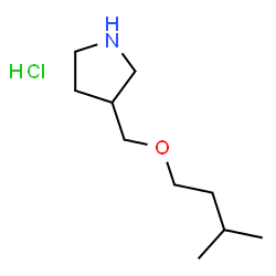 ChemSpider 2D Image | 3-((Isopentyloxy)methyl)pyrrolidine hydrochloride | C10H22ClNO