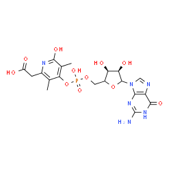 ChemSpider 2D Image | 5'-O-[(S)-{[6-(Carboxymethyl)-3,5-dimethyl-2-oxo-1,2-dihydro-4-pyridinyl]oxy}(hydroxy)phosphoryl]guanosine | C19H23N6O11P