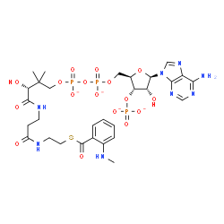 ChemSpider 2D Image | N-methylanthraniloyl-CoA(4-) | C29H39N8O17P3S