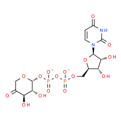 ChemSpider 2D Image | [(2R,3R,4R)-3,4-dihydroxy-5-oxo-tetrahydropyran-2-yl] [[(2R,3S,4R,5R)-5-(2,4-dioxopyrimidin-1-yl)-3,4-dihydroxy-tetrahydrofuran-2-yl]methoxy-oxido-phosphoryl] phosphate | C14H18N2O16P2