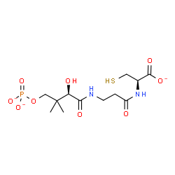 ChemSpider 2D Image | (2R)-2-({N-[(2R)-2-Hydroxy-3,3-dimethyl-4-(phosphonatooxy)butanoyl]-beta-alanyl}amino)-3-sulfanylpropanoate | C12H20N2O9PS