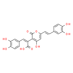ChemSpider 2D Image | (2Z)-3-(3,4-Dihydroxyphenyl)-2-{6-[(E)-2-(3,4-dihydroxyphenyl)vinyl]-4-hydroxy-2-oxo-2H-pyran-3-yl}acrylic acid | C22H16O9