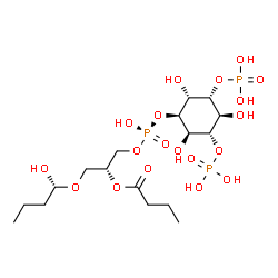 ChemSpider 2D Image | (2R)-1-[(1R)-1-Hydroxybutoxy]-3-{[(S)-hydroxy{[(1R,2R,3R,4S,5S,6R)-2,4,6-trihydroxy-3,5-bis(phosphonooxy)cyclohexyl]oxy}phosphoryl]oxy}-2-propanyl butyrate | C17H35O19P3