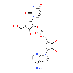 ChemSpider 2D Image | [5-(6-aminopurin-9-yl)-3,4-dihydroxy-tetrahydrofuran-2-yl]methyl [2-(2,4-dioxopyrimidin-1-yl)-4-hydroxy-5-(hydroxymethyl)tetrahydrofuran-3-yl] hydrogen phosphate | C19H24N7O12P
