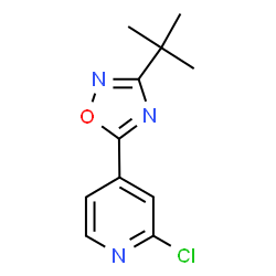 ChemSpider 2D Image | 4-(3-tert-butyl-1,2,4-oxadiazol-5-yl)-2-chloropyridine | C11H12ClN3O