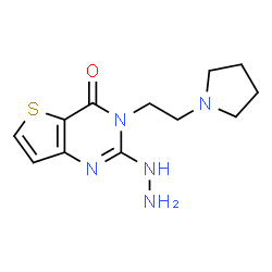 ChemSpider 2D Image | 2-Hydrazino-3-[2-(1-pyrrolidinyl)ethyl]thieno[3,2-d]pyrimidin-4(3H)-one | C12H17N5OS