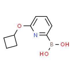 ChemSpider 2D Image | (6-Cyclobutoxypyridin-2-yl)boronic acid | C9H12BNO3