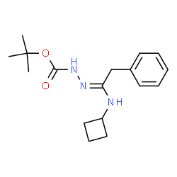 ChemSpider 2D Image | 2-Methyl-2-propanyl (2E)-2-[1-(cyclobutylamino)-2-phenylethylidene]hydrazinecarboxylate | C17H25N3O2