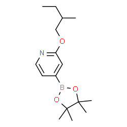 ChemSpider 2D Image | 2-(2-Methylbutoxy)-4-(4,4,5,5-tetramethyl-1,3,2-dioxaborolan-2-yl)pyridine | C16H26BNO3