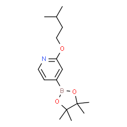 ChemSpider 2D Image | 2-(isopentyloxy)-4-(4,4,5,5-tetramethyl-1,3,2-dioxaborolan-2-yl)pyridine | C16H26BNO3