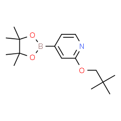ChemSpider 2D Image | 2-(Neopentyloxy)-4-(4,4,5,5-tetramethyl-1,3,2-dioxaborolan-2-yl)pyridine | C16H26BNO3