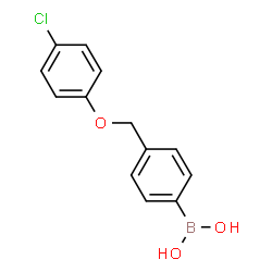 ChemSpider 2D Image | (4-((4-Chlorophenoxy)methyl)phenyl)boronic acid | C13H12BClO3