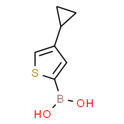 ChemSpider 2D Image | (4-Cyclopropyl-2-thienyl)boronic acid | C7H9BO2S