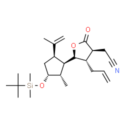 ChemSpider 2D Image | {(3S,4S,5S)-4-Allyl-5-[(1R,2S,3R,5R)-3-{[dimethyl(2-methyl-2-propanyl)silyl]oxy}-5-isopropenyl-2-methylcyclopentyl]-2-oxotetrahydro-3-furanyl}acetonitrile | C24H39NO3Si