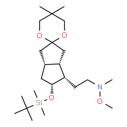 ChemSpider 2D Image | 2-[(3a'S,4'S,5'R,6a'R)-5'-{[Dimethyl(2-methyl-2-propanyl)silyl]oxy}-5,5-dimethylhexahydro-1'H-spiro[1,3-dioxane-2,2'-pentalen]-4'-yl]-N-methoxy-N-methylethanamine | C23H45NO4Si