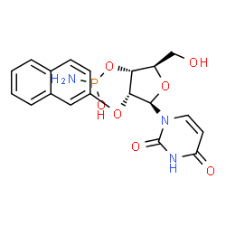 ChemSpider 2D Image | 3'-O-[Amino(hydroxy)phosphino]-2'-O-2-naphthyluridine | C19H20N3O7P