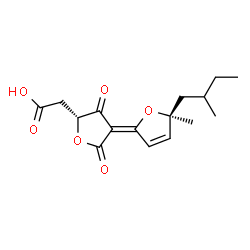 ChemSpider 2D Image | {(2R,4E)-4-[(5S)-5-Methyl-5-(2-methylbutyl)-2(5H)-furanylidene]-3,5-dioxotetrahydro-2-furanyl}acetic acid | C16H20O6