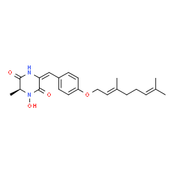 ChemSpider 2D Image | gliocladride B | C22H28N2O4