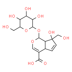 ChemSpider 2D Image | 1-(Hexopyranosyloxy)-7-hydroxy-7-(hydroxymethyl)-1,4a,7,7a-tetrahydrocyclopenta[c]pyran-4-carboxylic acid | C16H22O11