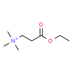 ChemSpider 2D Image | 3-Ethoxy-N,N,N-trimethyl-3-oxo-1-propanaminium | C8H18NO2