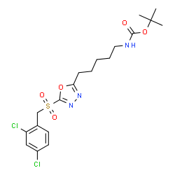 ChemSpider 2D Image | 2-Methyl-2-propanyl (5-{5-[(2,4-dichlorobenzyl)sulfonyl]-1,3,4-oxadiazol-2-yl}pentyl)carbamate | C19H25Cl2N3O5S