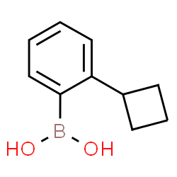ChemSpider 2D Image | (2-Cyclobutylphenyl)boronic acid | C10H13BO2