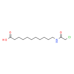 ChemSpider 2D Image | 11-[(Chloroacetyl)amino]undecanoic acid | C13H24ClNO3