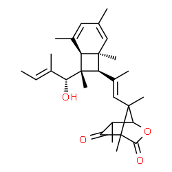 ChemSpider 2D Image | 7-[(1E)-2-{(1S,6R,7R,8R)-8-[(1R,2E)-1-Hydroxy-2-methyl-2-buten-1-yl]-2,4,6,8-tetramethylbicyclo[4.2.0]octa-2,4-dien-7-yl}-1-propen-1-yl]-4,6,7-trimethyl-2-oxabicyclo[2.2.1]heptane-3,5-dione | C29H40O4