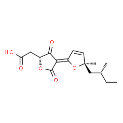 ChemSpider 2D Image | {(2R,4Z)-4-[(5R)-5-Methyl-5-[(2R)-2-methylbutyl]-2(5H)-furanylidene]-3,5-dioxotetrahydro-2-furanyl}acetic acid | C16H20O6