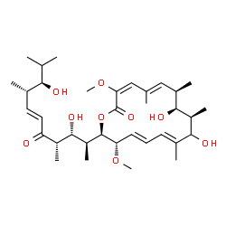 ChemSpider 2D Image | (3E,5E,7R,8S,9R,11E,13E,15S,16R)-16-[(2S,3R,4S,6E,8S,9R)-3,9-Dihydroxy-4,8,10-trimethyl-5-oxo-6-undecen-2-yl]-8,10-dihydroxy-3,15-dimethoxy-5,7,9,11-tetramethyloxacyclohexadeca-3,5,11,13-tetraen-2-one | C35H56O9