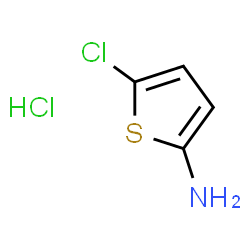 ChemSpider 2D Image | 5-Chlorothiophen-2-amine hydrochloride | C4H5Cl2NS