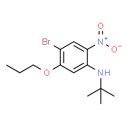 ChemSpider 2D Image | 4-Bromo-N-(2-methyl-2-propanyl)-2-nitro-5-propoxyaniline | C13H19BrN2O3