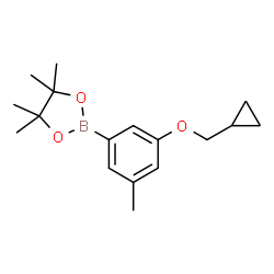 ChemSpider 2D Image | 2-[3-(Cyclopropylmethoxy)-5-methylphenyl]-4,4,5,5-tetramethyl-1,3,2-dioxaborolane | C17H25BO3