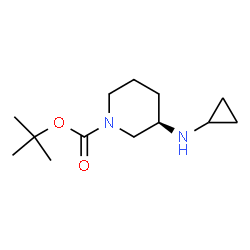 ChemSpider 2D Image | TERT-BUTYL (3R)-3-(CYCLOPROPYLAMINO)PIPERIDINE-1-CARBOXYLATE | C13H24N2O2