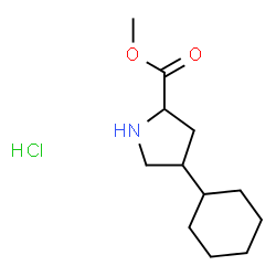 ChemSpider 2D Image | Methyl 4-cyclohexylprolinate hydrochloride (1:1) | C12H22ClNO2