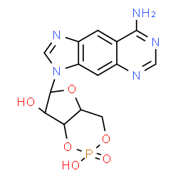 ChemSpider 2D Image | 6-(8-Amino-3H-imidazo[4,5-g]quinazolin-3-yl)tetrahydro-4H-furo[3,2-d][1,3,2]dioxaphosphinine-2,7-diol 2-oxide | C14H14N5O6P