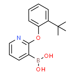 ChemSpider 2D Image | (2-(2-(tert-Butyl)phenoxy)pyridin-3-yl)boronic acid | C15H18BNO3