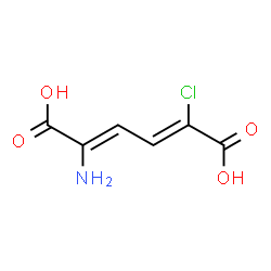 ChemSpider 2D Image | (2Z,4Z)-2-Amino-5-chloro-2,4-hexadienedioic acid | C6H6ClNO4