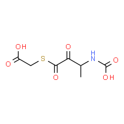 ChemSpider 2D Image | {[3-(Carboxyamino)-2-oxobutanoyl]sulfanyl}acetic acid | C7H9NO6S