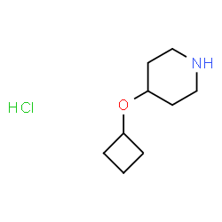 ChemSpider 2D Image | 4-CYCLOBUTOXYPIPERIDINE HYDROCHLORIDE | C9H18ClNO