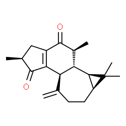 ChemSpider 2D Image | (2S,3bS,6aS,7aR,7bR,8S)-2,7,7,8-Tetramethyl-4-methylene-4,5,6,6a,7,7a,7b,8-octahydro-1H-cyclopropa[3,4]cyclohepta[1,2-e]indene-3,9(2H,3bH)-dione | C20H26O2