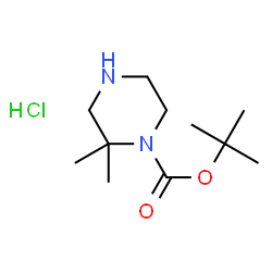 ChemSpider 2D Image | tert-Butyl 2,2-dimethylpiperazine-1-carboxylate hydrochloride | C11H23ClN2O2