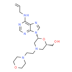 ChemSpider 2D Image | [(2S,6R)-6-[6-(allylamino)purin-9-yl]-4-(2-morpholinoethyl)morpholin-2-yl]methanol | C19H29N7O3