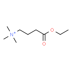 ChemSpider 2D Image | 4-Ethoxy-N,N,N-trimethyl-4-oxo-1-butanaminium | C9H20NO2