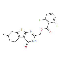 ChemSpider 2D Image | (7-Methyl-4-oxo-3,4,5,6,7,8-hexahydro[1]benzothieno[2,3-d]pyrimidin-2-yl)methyl 2,6-difluorobenzoate | C19H16F2N2O3S