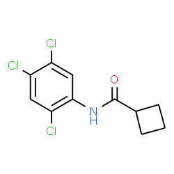ChemSpider 2D Image | N-(2,4,5-Trichlorophenyl)cyclobutanecarboxamide | C11H10Cl3NO