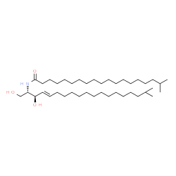 ChemSpider 2D Image | N-[(2S,3R,4E)-1,3-Dihydroxy-18-methyl-4-nonadecen-2-yl]-18-methylnonadecanamide | C40H79NO3