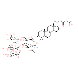 ChemSpider 2D Image | (3beta,5alpha)-25-Hydroxy-4,4-dimethyl-23-oxocholest-8-en-3-yl (5xi)-2-acetamido-2-deoxy-alpha-L-arabino-hexopyranosyl-(1->4)-[(5xi)-beta-D-xylo-hexopyranosyl-(1->2)-(5xi)-beta-D-xylo-hexopyranosyl-(1
->6)-(5xi)-2-acetamido-2-deoxy-beta-D-xylo-hexopyranosyl-(1->2)]-beta-D-xylopyranoside | C62H102N2O27