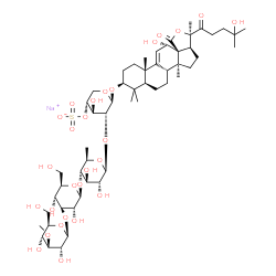 ChemSpider 2D Image | Sodium (3beta,12alpha)-12,25-dihydroxy-18,22-dioxo-18,20-epoxylanost-9(11)-en-3-yl 3-O-methyl-beta-D-glucopyranosyl-(1->3)-beta-D-glucopyranosyl-(1->4)-6-deoxy-beta-D-glucopyranosyl-(1->2)-4-O-sulfona
to-beta-D-xylopyranoside | C54H85NaO27S